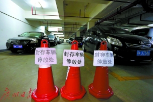 政府公车拍卖最新动态更新，最新消息汇总