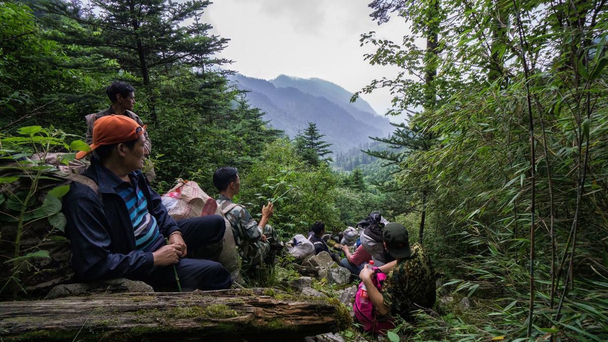 最新马鞍山，自然美景的探索之旅