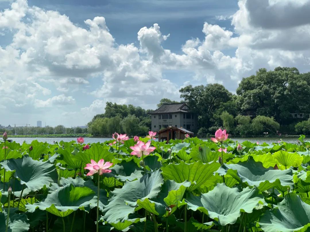 自然美景探索之旅，最新形势深度分析