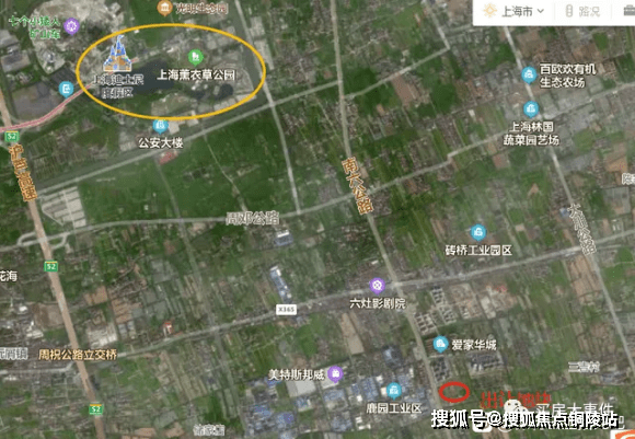VSCO最新版本深度解析及观点阐述