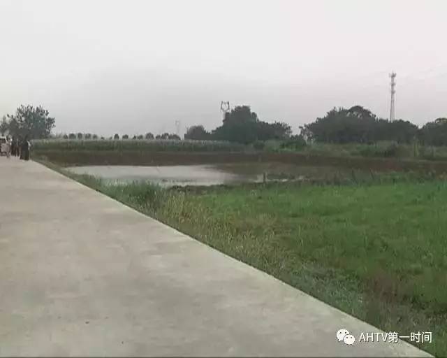 最新电鱼视频，探索自然美景，唤醒内心平静之旅