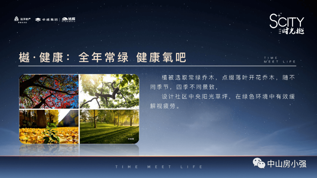深度解析与观点阐述 第3页
