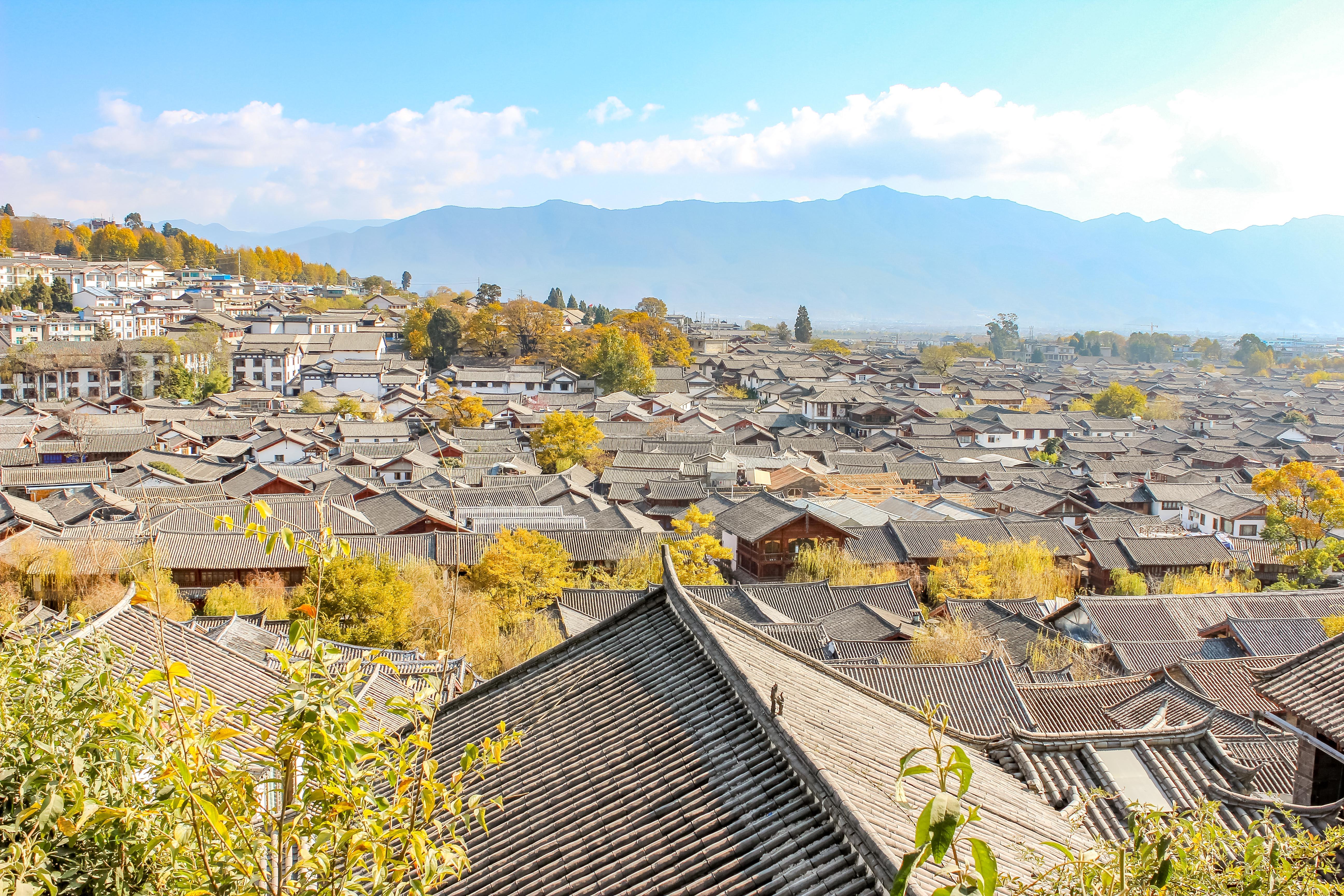 探索自然美景的治愈之旅，最新章节目录