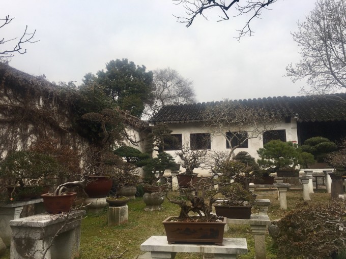 大邱庄小镇最新资讯，巷弄深处的惊喜——探寻小巷特色小店