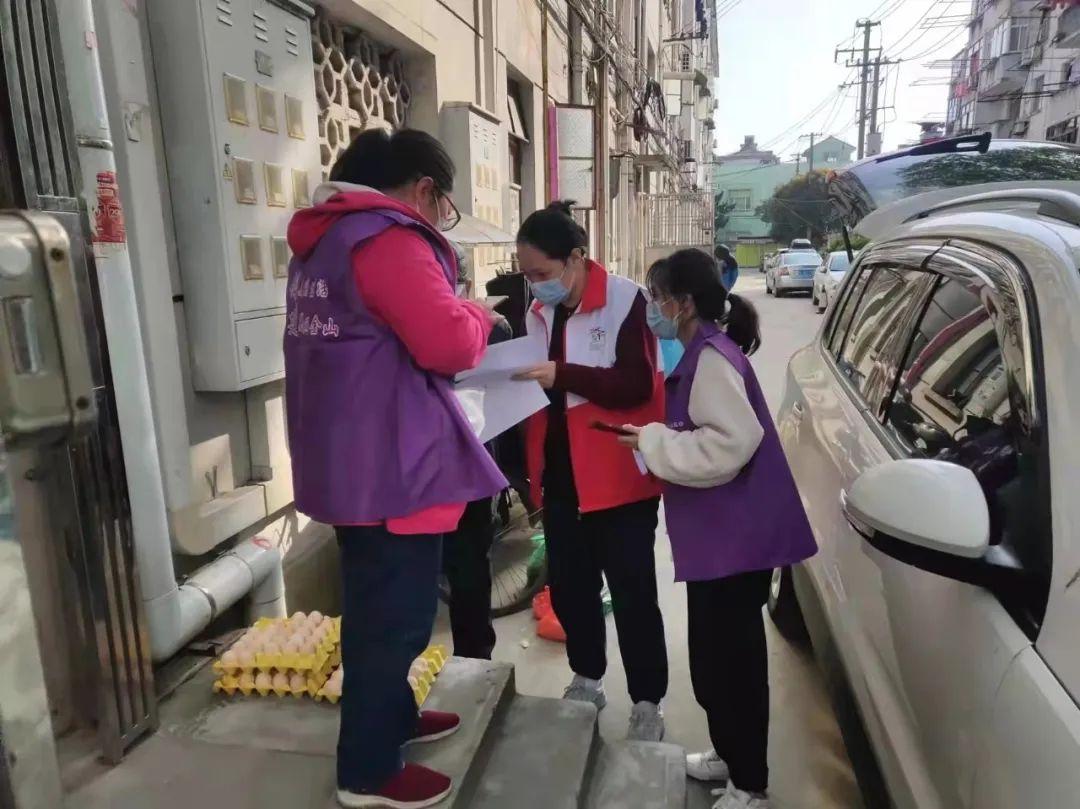 各省疫情最新动态及小巷独特风味探寻