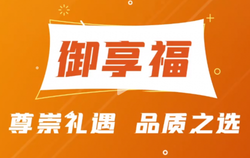 探索自然美景之旅，最新保险价格一览