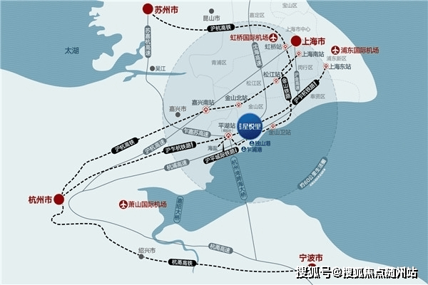 最新逾期名单深度解析与观点阐述