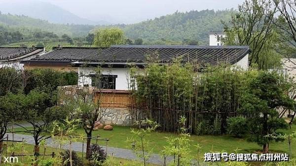 晴宝最新观点分析与阐述