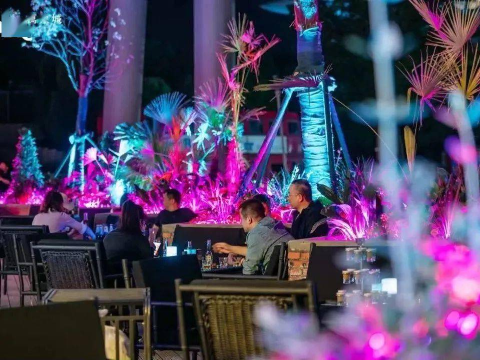 夜嗨最新，自然美景探索之旅