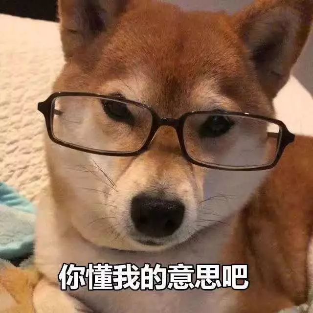红牛犬最新价格及自然美景旅行探索