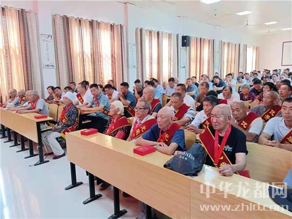太康最新新闻回顾，掌握最新动态