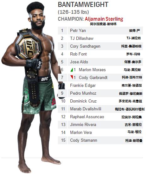 UFC最新排名2017，综合格斗领域的格局深度解析