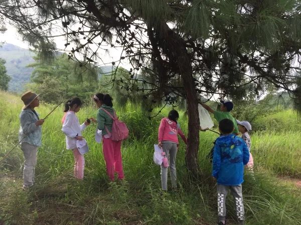 柳云龙最新动态揭秘，探索自然美景之旅，寻找内心平和宁静的旅程