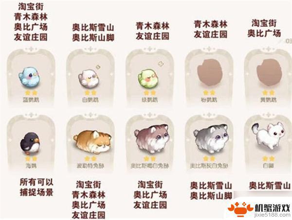 奥比岛最新限定宠物获取与培养全攻略，从初学者到进阶用户的指南