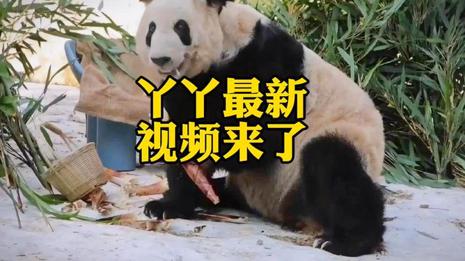 保健食品销售 第102页