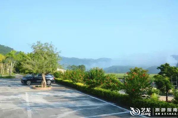 练市镇自然美景探索之旅，追寻内心的平和与宁静最新消息