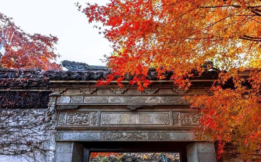 家庭群名字大全最新版，探索自然美景之旅，寻找内心平和宁静的家园