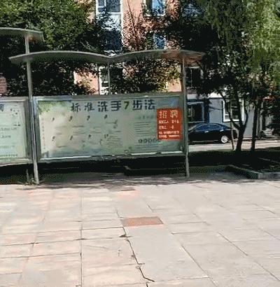 辽源袜园最新招工信息及探索自然美景之旅，启程内心的平静之旅