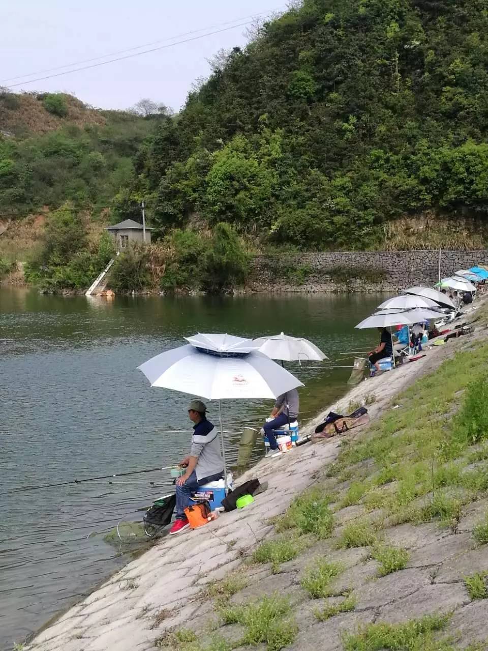 化绍新探寻钓鱼秘境，小巷深处的独特小店与钓鱼视频揭秘