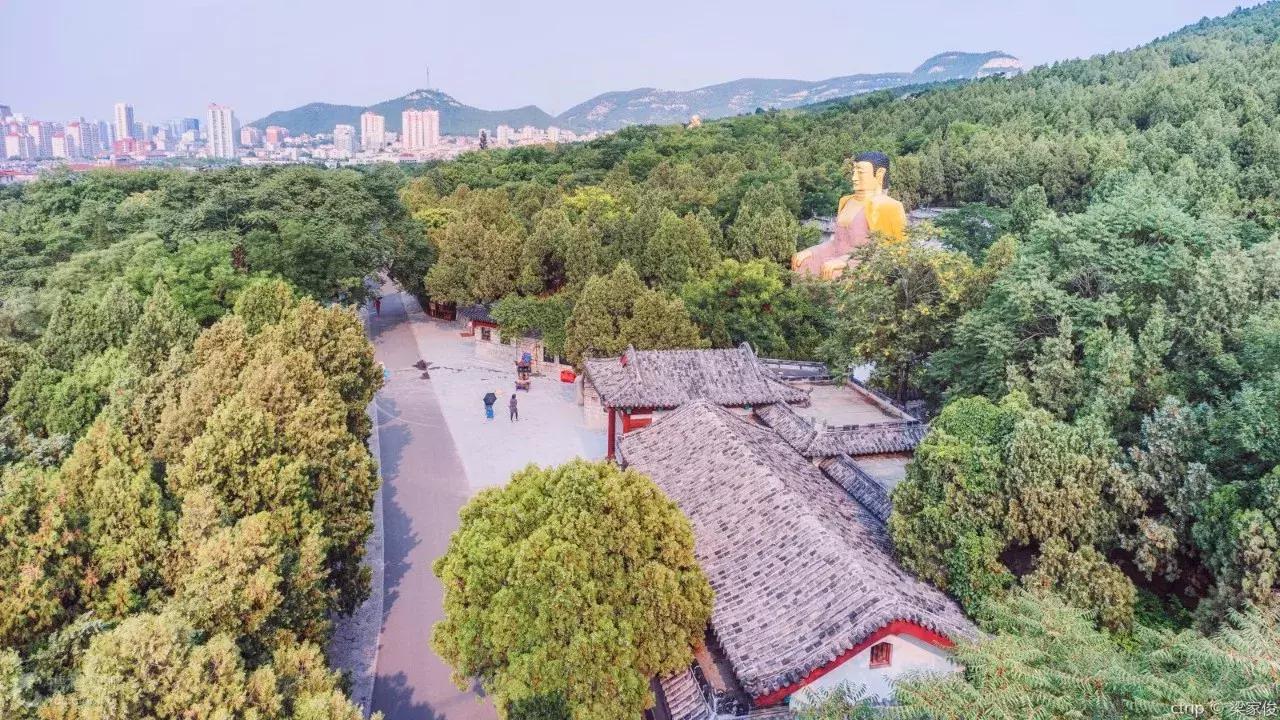 石家庄东站最新动态揭秘✨