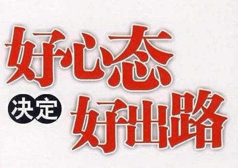 菜饼价格最新行情中的温情故事揭秘