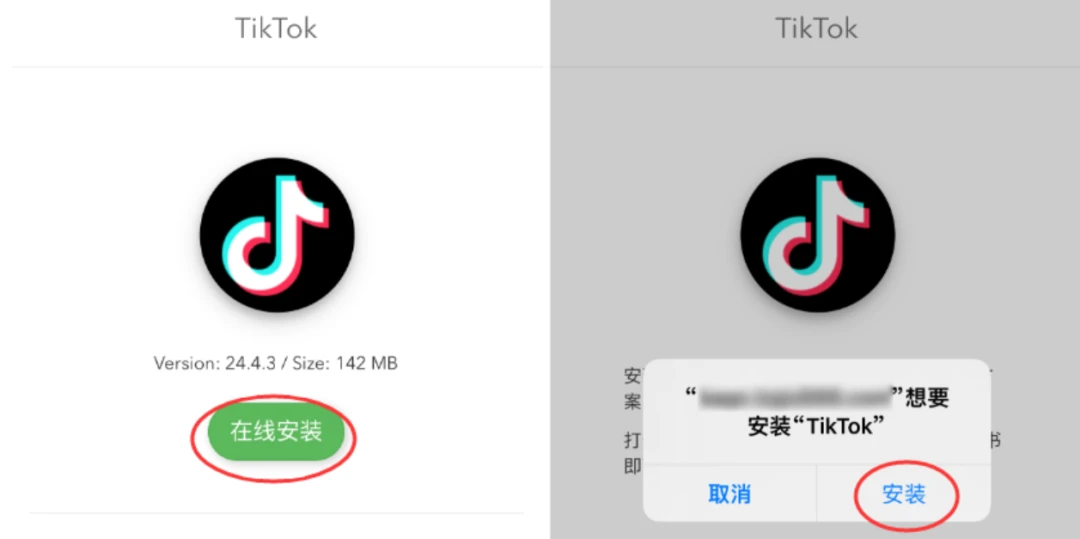 TikTok国际最新版深度解析与观点阐述